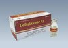 Thuốc Ceftriaxone 1g Mekophar - Thuốc điều trị nhiễm khuẩn hiệu quả
