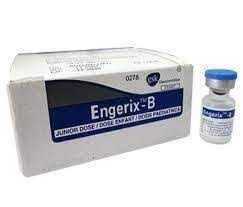 Thuốc Engerix B Pediatric 10mcg - Phòng ngừa bệnh viêm gan B