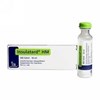 Thuốc Insulatard HM - Điều trị đái tháo đường