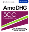 Thuốc AmoDHG 500 - Điều trị nhiễm khuẩn 