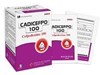 Thuốc Cadicefpo 100 - Điều trị nhiễm khuẩn