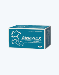 Thuốc Ginknex - Hỗ trợ tuần hoàn máu não, cải thiện trí nhớ
