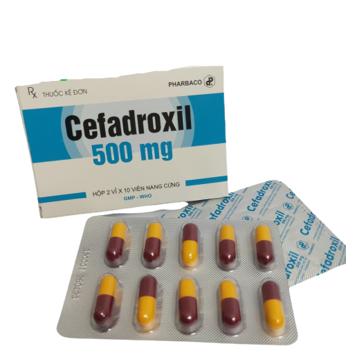 Thuốc Cefadroxil 500mg Pharbaco - Thuốc điều trị nhiễm kh |  Shipthuocnhanh24h.vn