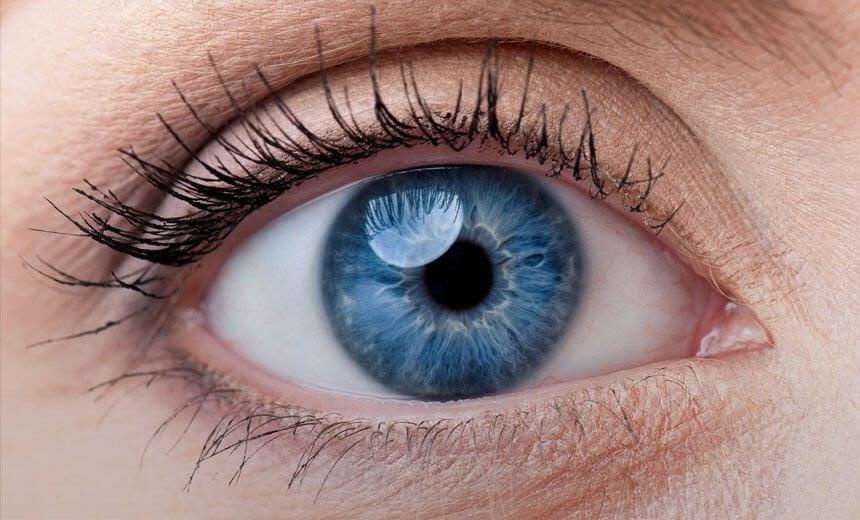 Cấu tạo của mắt là gì? Mắt có cơ chế hoạt động như thế nào?