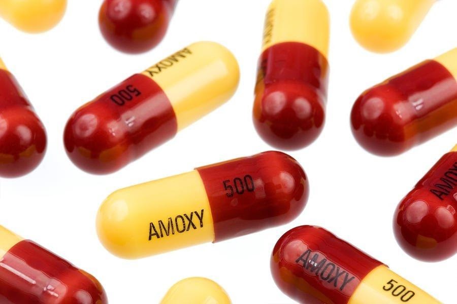Amoxicillin hỗ trợ điều trị nhiễm khuẩn