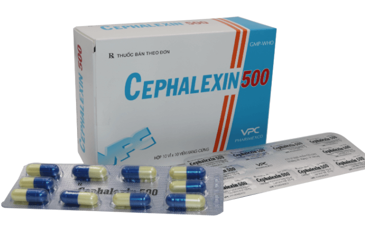 Cephalexin là thuốc kháng sinh điều trị bệnh lý do nhiễm khuẩn