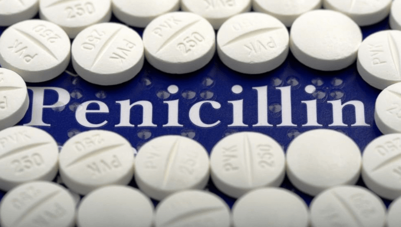 Thuốc kháng sinh Penicillin là phân nhóm nhỏ thuộc nhóm Beta-lactam