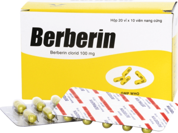 Quy cách đóng gói thuốc đau bụng Berberin