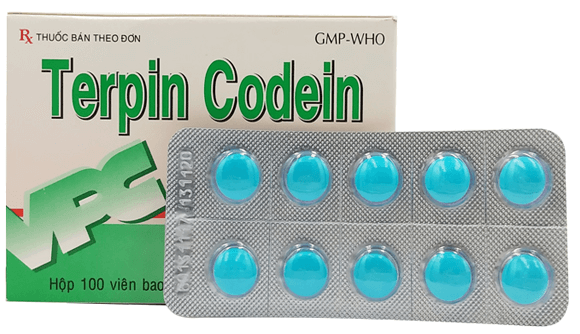 Nên đọc kỹ hướng dẫn trước khi sử dụng Terpin Codein